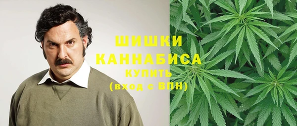 ешки Володарск