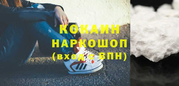 PSILOCYBIN Вяземский